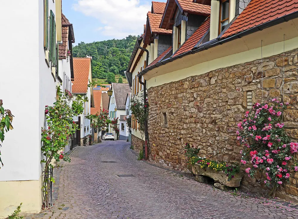 Ferienwohnung HausStorck in Gimmeldingen (Pfalz) an der Weinstraße